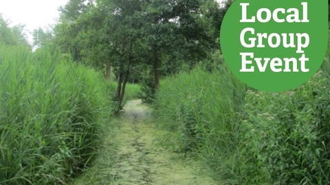 Great Fen