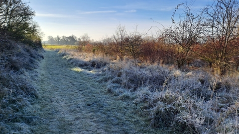 Trumpington in winter