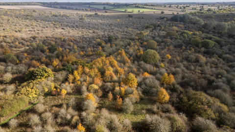 An aerial show of Strawberry Hill showing the scrubland turning into shades of gold and orange