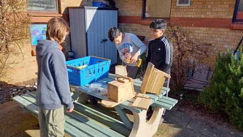bird box making