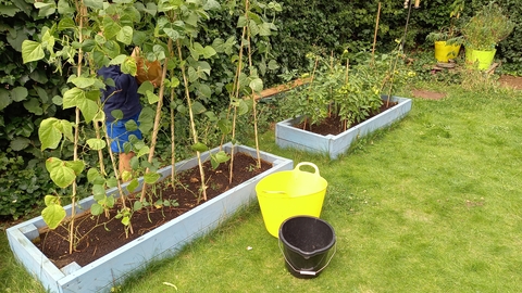 garden club toms