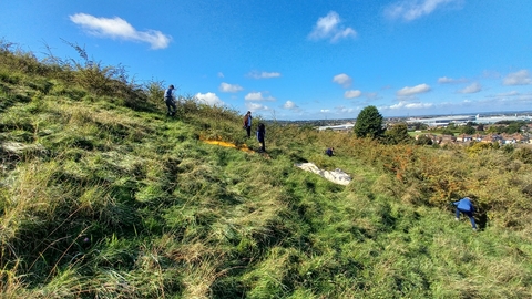 youth rangers working