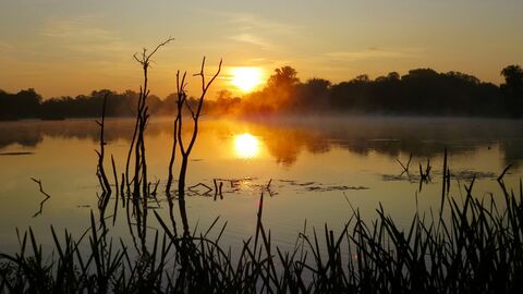 Sun setting over wetlands