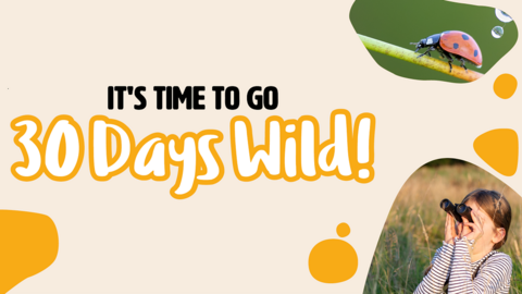 30 days wild graphic