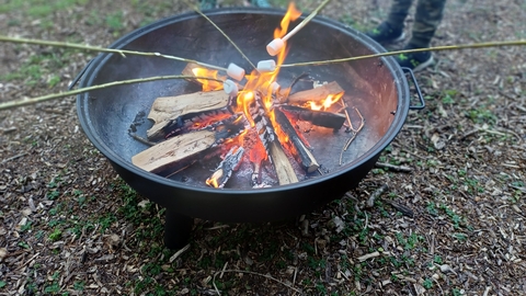 Roasting marshmallows over a fire by Rebecca Neal