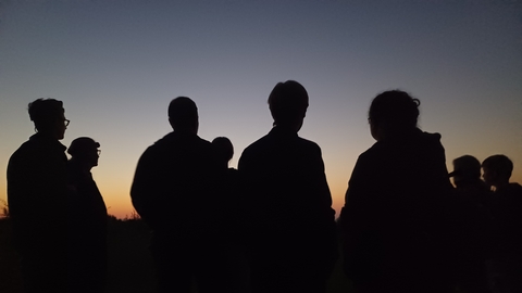 silhouettes at sunset by Rebecca Neal
