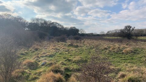 Castor Hanglands 2