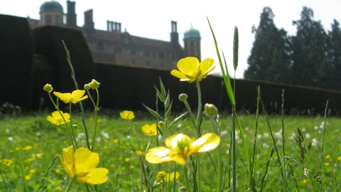 Madingley Hall