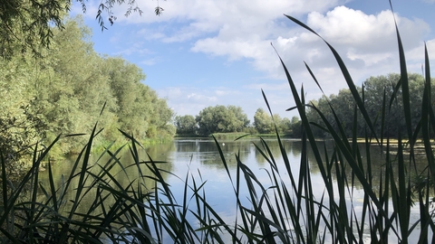 Summer Leys Nature Reserve