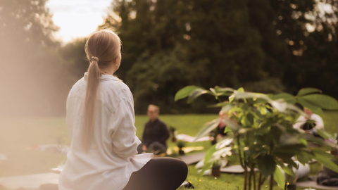 People doing wild yoga