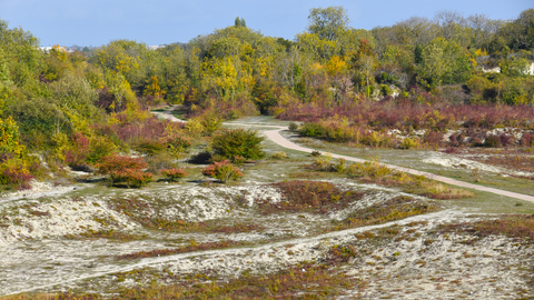 Cherry Hinton Nature Reserve