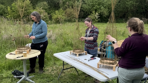 group of people willow weaving