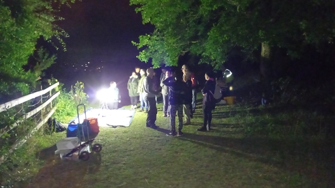 People at night on hill