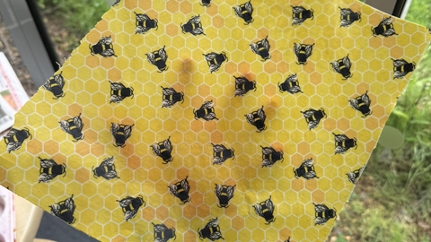 Arm holding beeswax wrap
