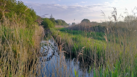 Sun rising over Woodwalton Fen