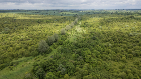 Drone image of Strawberry Hill