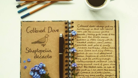 a ring bound journal made of natural brown paper, a collared dove illustrated in ink on the left hand page and text on the right hand page. Forget me notes, colouring pencils and a mug of black coffee around