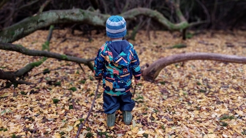 Little Bugs child with stick surrounded by autumn leaves by Rebecca Neal