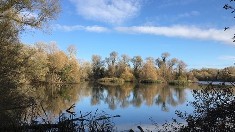 Nene Wetlands