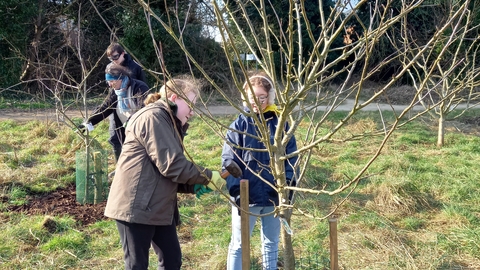 youth rangers beds blows downs