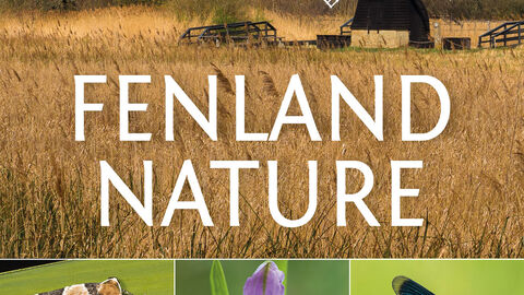 Fenland Nature
