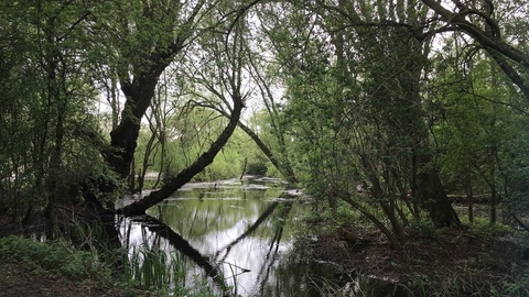 Priory Country Park