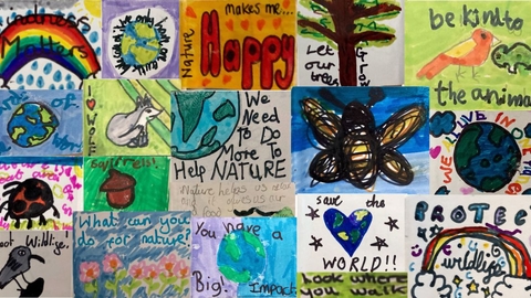 Helping Nature Help Us