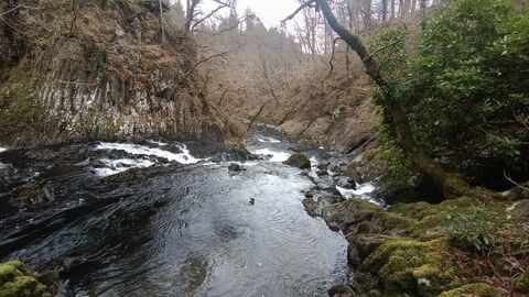 What does finance have to do with biodiversity conservation?