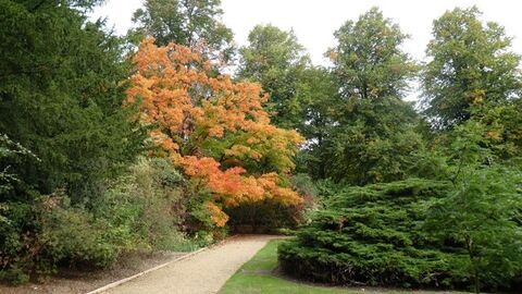 The Scholar's Garden St John's College