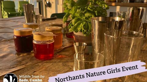 Cocktail elements with text