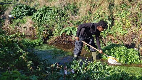 riverfly monitoring _12
