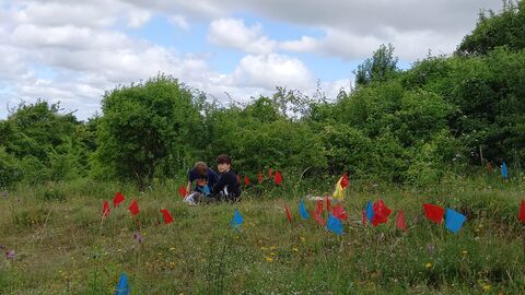 orchid_monitoring_YR