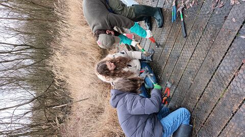 Three youth rangers standing on a boardwalk using hammers and pliers to rip up the chicken wire and wooden planks.