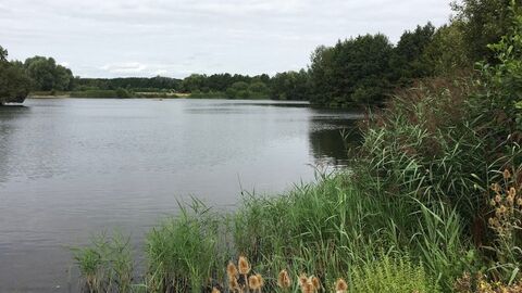 Clophill Nature Reserve