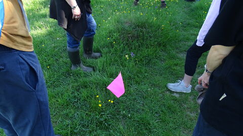 A pink flag in the middle of a patch of grass, with youth rangers standing around it.
