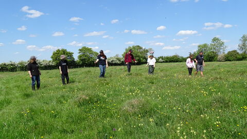 Seven youth rangers standing in a field on a sunny day counting orchids,
