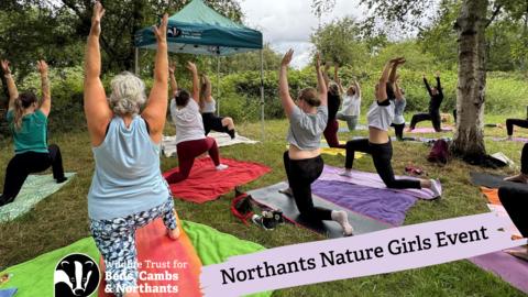 Group of women doing yoga in nature