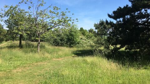 Park Wood Nature Reserve