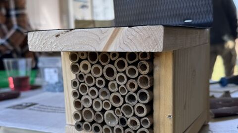 Bee box