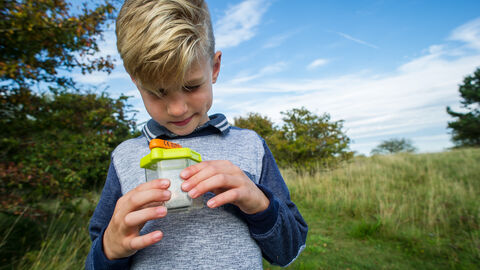 Boy with bug pot by Matthew Roberts