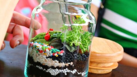 jar terrarium