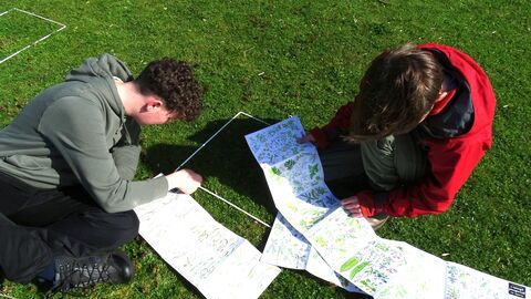 Two boys sitting on the grass looking at different plants guides to identify what is in their quadrat.