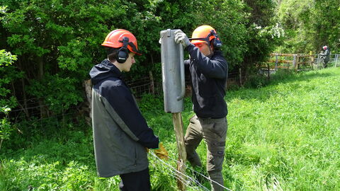 Two teenage boys repairing a livestock fence in Peterborough, one is holding a post basher and ramming it into the wooden post while the other holds back the wire.