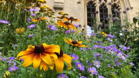 St John's College Cambridge Gardens