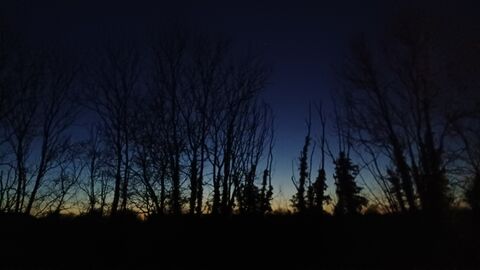 Nigh