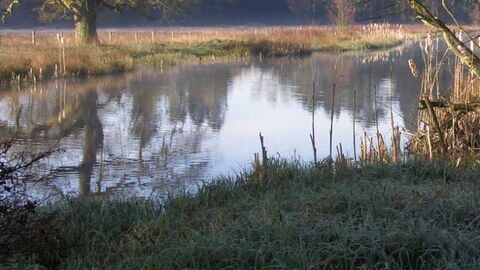 Flitwick Manor Park