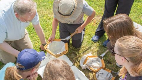 A group of teens gather around to look at what they have caught in their sweep nets on a field