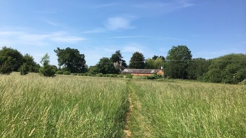Strawberry Hill