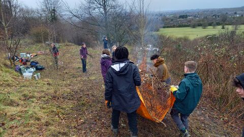 moving scrub around warden hill