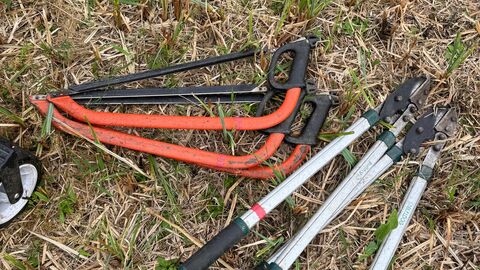 bosaws and loppers on the ground